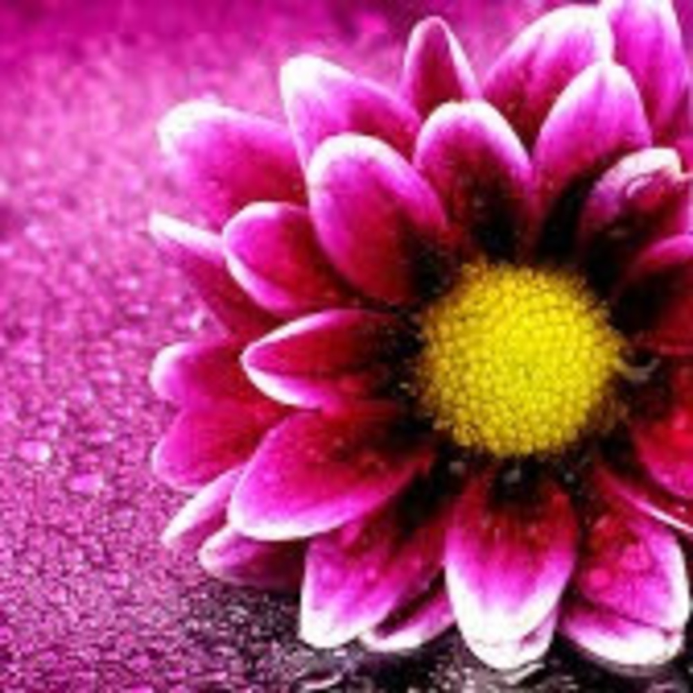 Meet your Posher, Milly